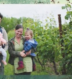 Alexeli Vineyard and Winery