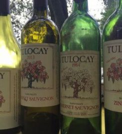 Tulocay Winery