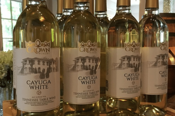 Crown Winery Vineyard Winery & Brewery