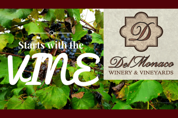 Del Monaco Winery & Vineyard
