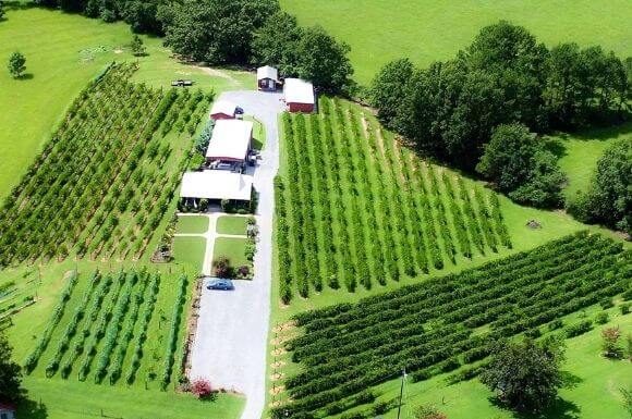 Hidden Meadow Vineyard & Winery