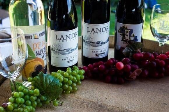 Landry Vineyards