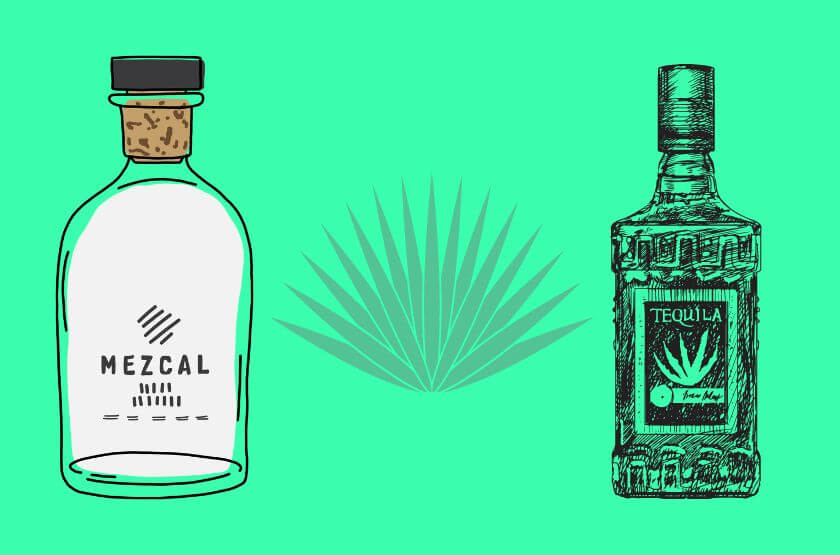 Tequila versus Mezcal