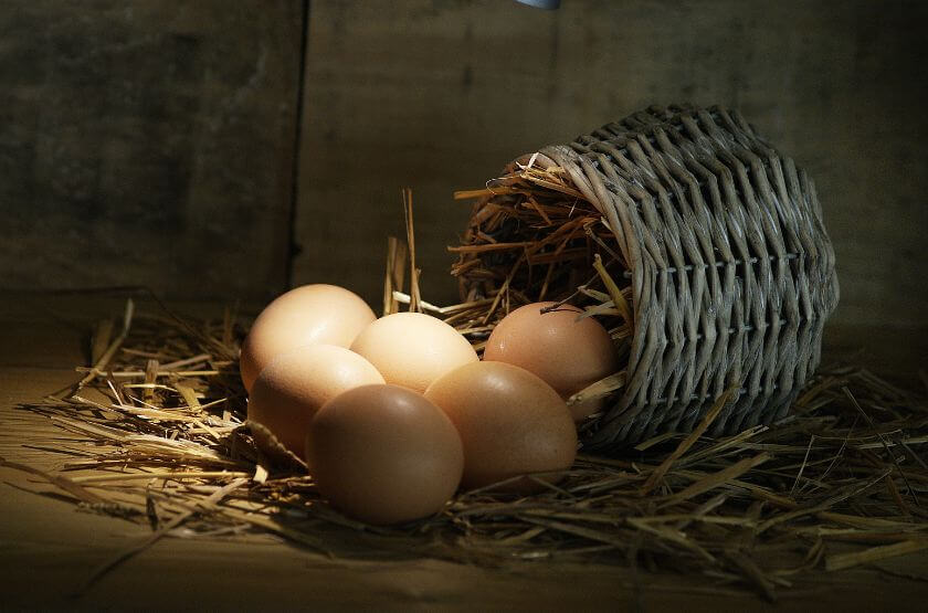Eggs and a Basket