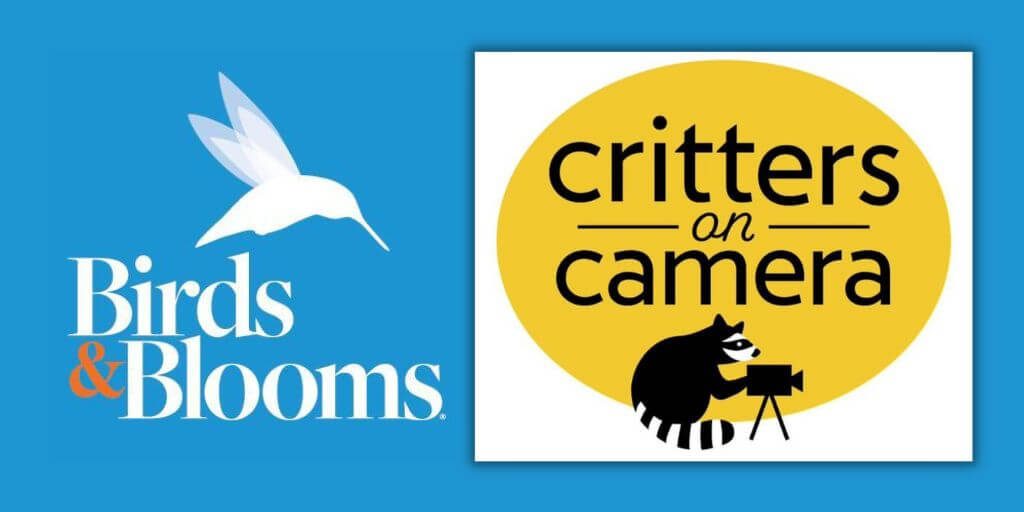 2023 Birds & Blooms - Critters on Camera Video Contest