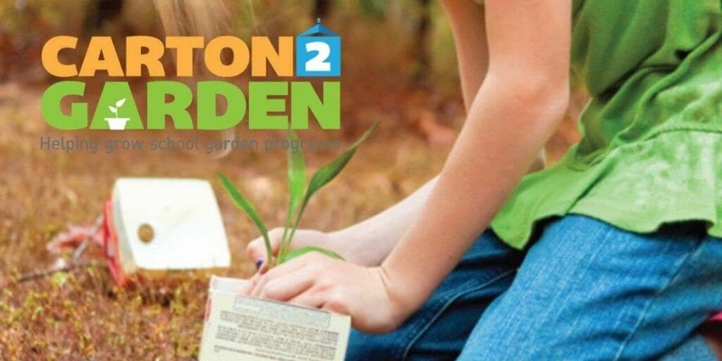2020 Carton 2 Garden Contest