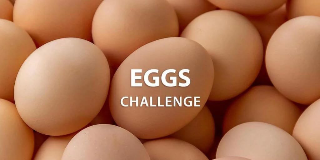 2022 Instructables - Eggs Challenge