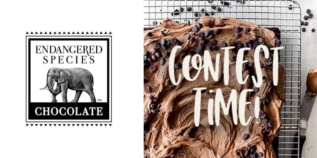 2021 The Feedfeed - Endangered Species Chocolate Contest