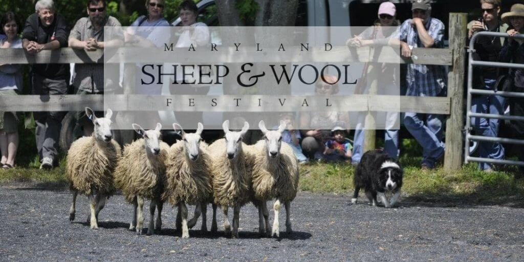 2021 Maryland Sheep & Wool Festival - Fine Arts Competition