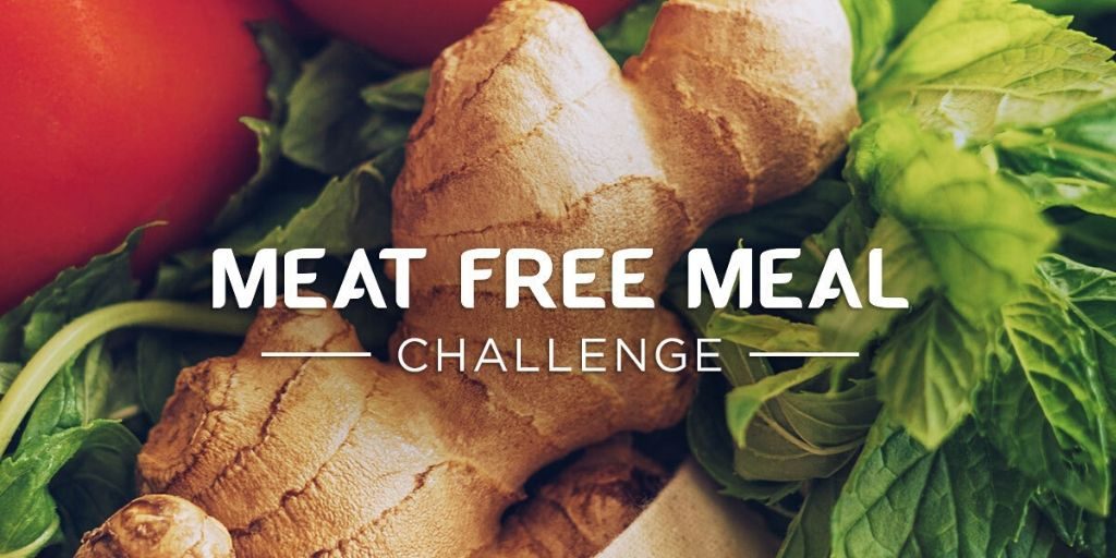 2020 Instructables - Meat Free Meal Challenge