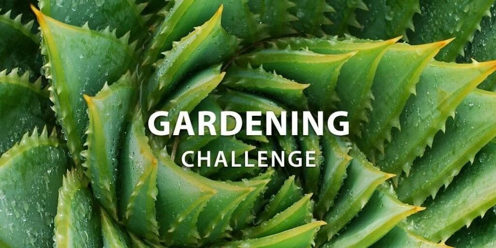 2021 Instructables – Gardening Challenge