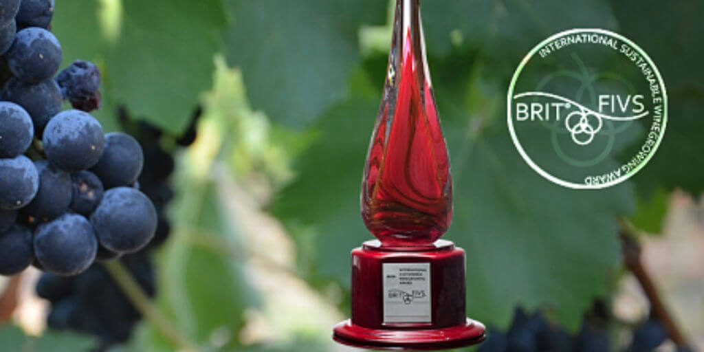 2020 BRIT/FIVE International Sustainable Winegrowing Award