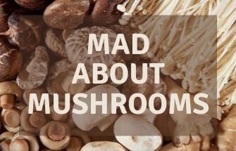 Mad About Mushrooms