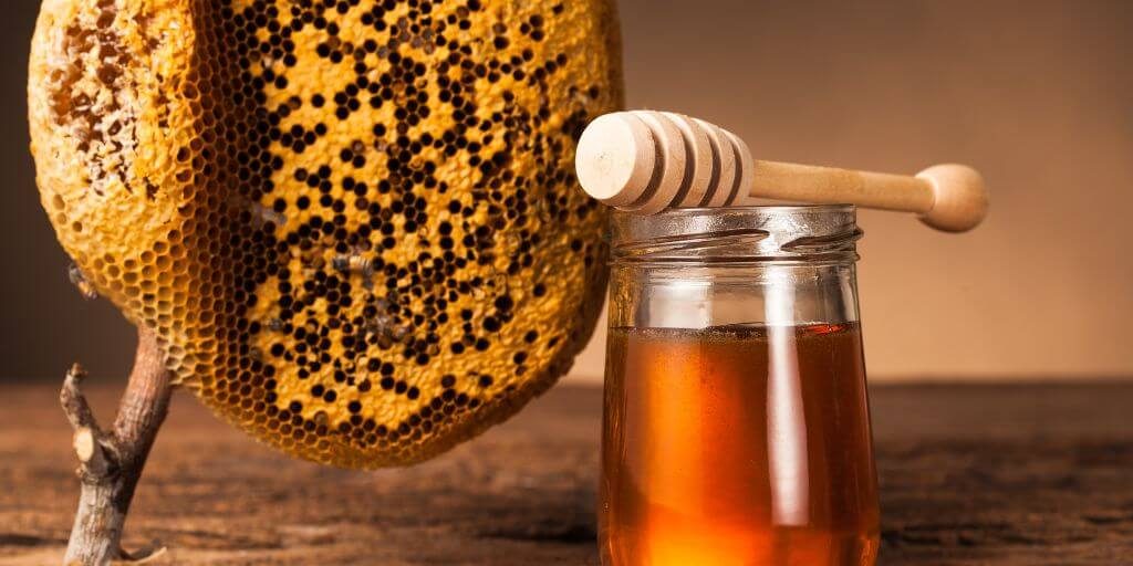 2023 National Honey Board