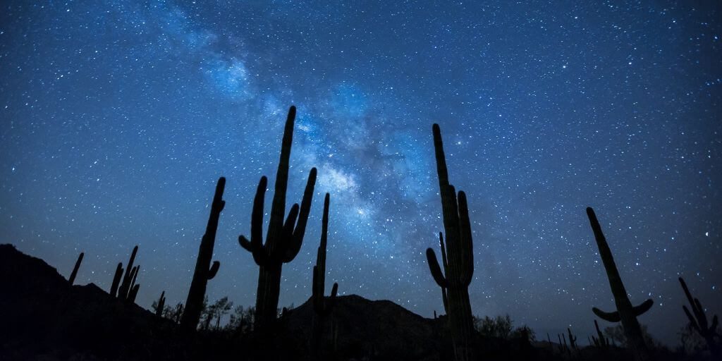 2023 Texas Co-op Power Photo Contest – Focus on Texas: Night Sky