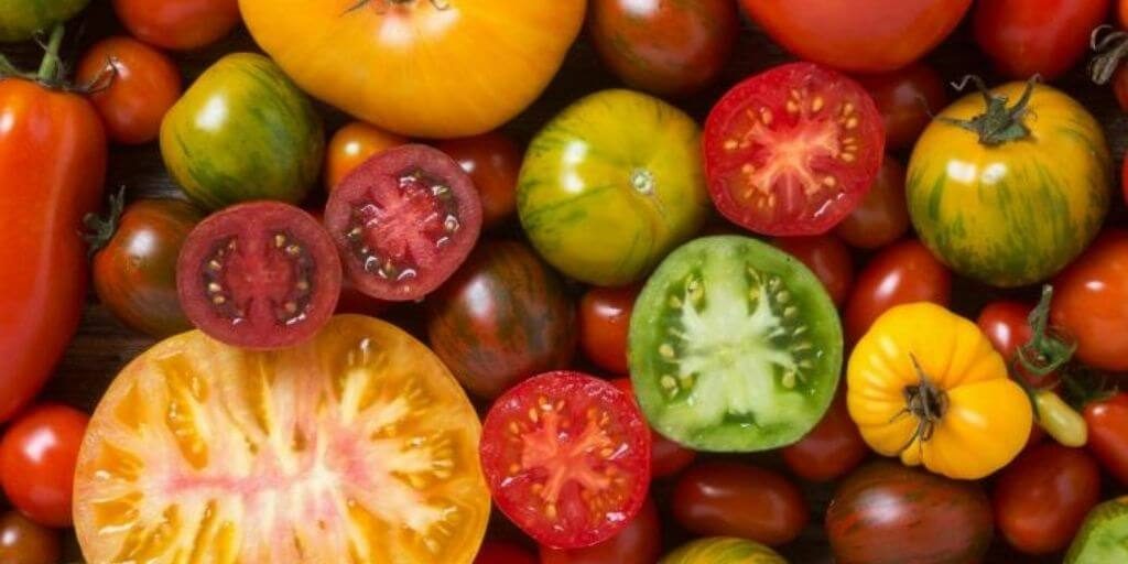2021 Old Farmer’s Almanac Garden Guide – Tomato Recipe Contest