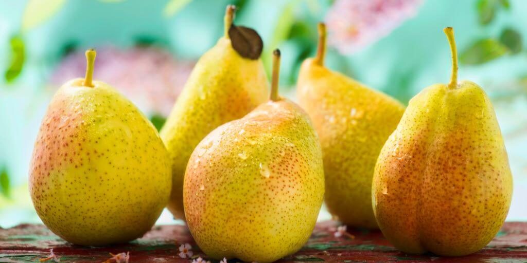 2024 The Old Farmer’s Almanac - Pears Recipe Contest