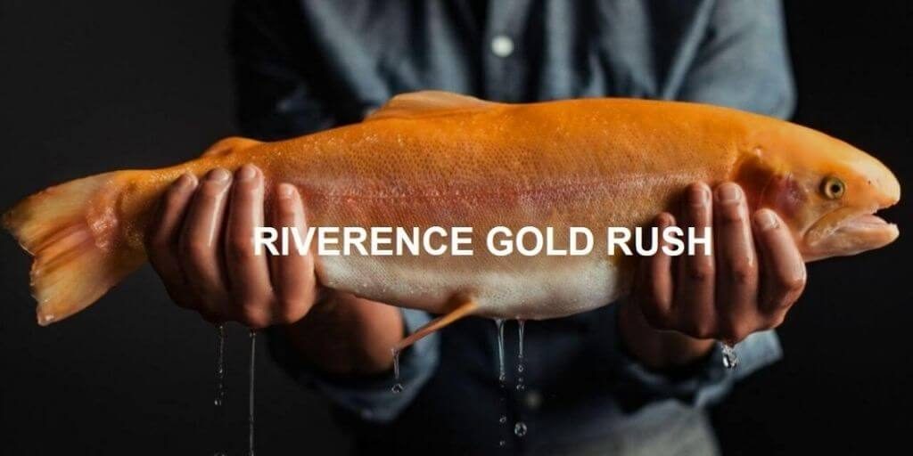 2019 Chef's Roll #RiverenceGoldRush Online Cooking Contest
