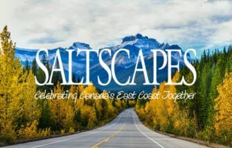 Saltscapes