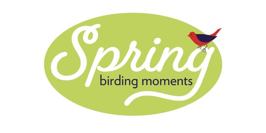2023 Birds & Blooms - Spring Birding Moments Video Contest
