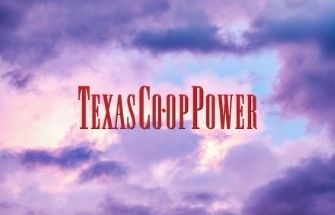 Texas Co-op Power Recipe Contest