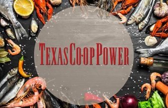 Texas Co-Op Power